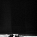 De levande/Living beings