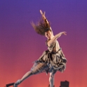 Cheetah Running